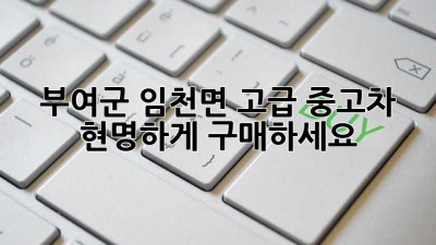 부여군 임천면 고급 중고차, 현명하게 구매하세요!