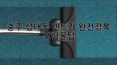 충주 성내동 렌트카 완전정복! 보험꿀팁🚗✨