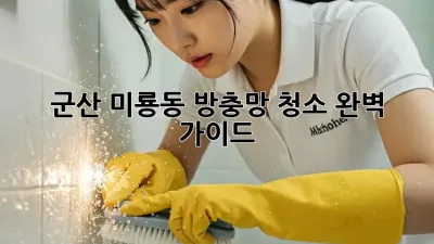 군산 미룡동 방충망 청소 완벽 가이드